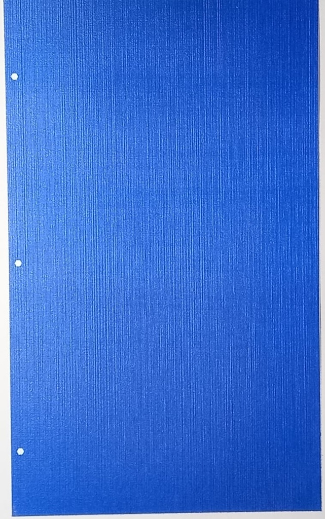 Lensun film trasero skn65