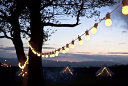 Guirnalda Kermese con 20 focos incandescentes blanco calido exterior 10m