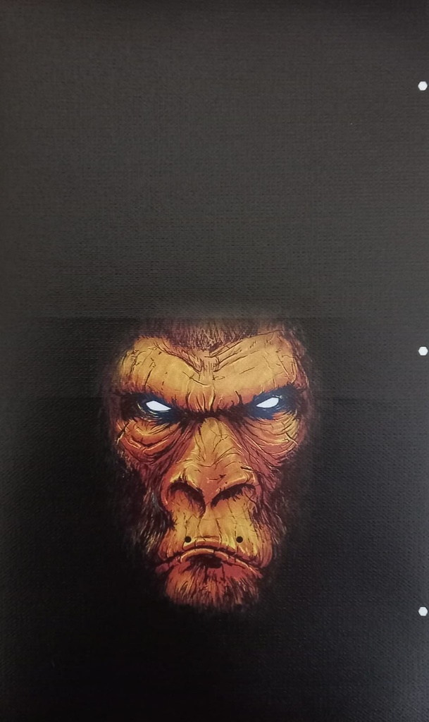  Tpu Rigido Original Samsung A02s Aqua Claro