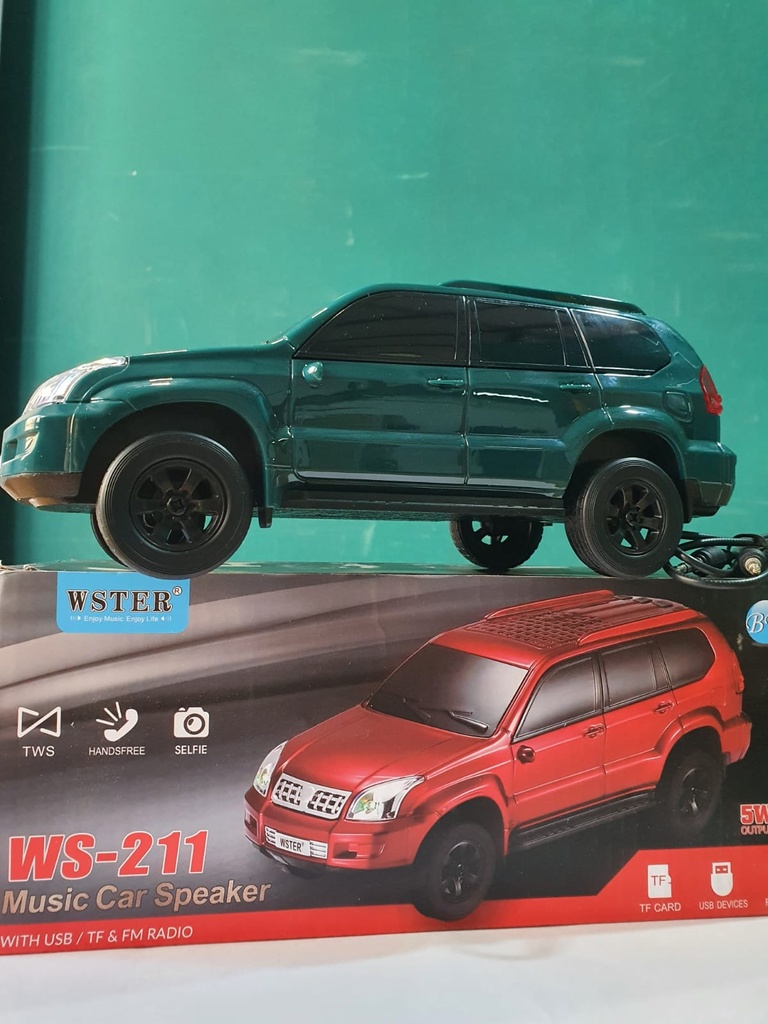 Parlante Portatil BT Micro Sd Usb Aux Fm Auto con Luces WS-211