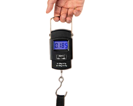 Balanza Digital Electronica Portatil 50kg Valijas Pesca WH-A08