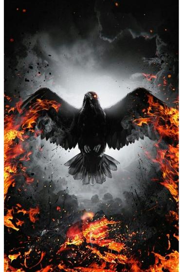 Lensun film trasero skn137