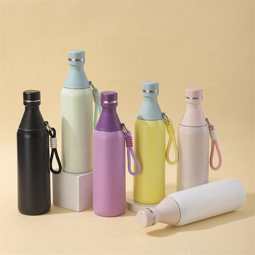 Botella Termica Doble Pico 550ml