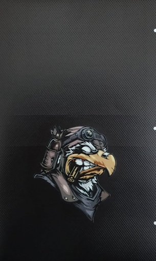 [6872 skn98] Lensun film trasero skn98